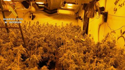 Desmantelan un punto de cultivo de drogas y otro de venta con la detención de cuatro personas. / Guardia Civil