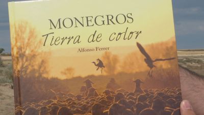 Portada del libro 'Monegros, tierra de color', de Alfonso Ferrer.