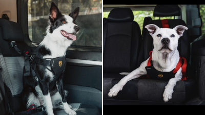 La Universidad de Zaragoza y el Impact Laboratory de Motorland (Alcañiz) colaboran en las pruebas de seguridad de arneses para mascotas. / BabyAutoPets