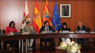 Primer pleno del mandato actual de la DPH. / DPH