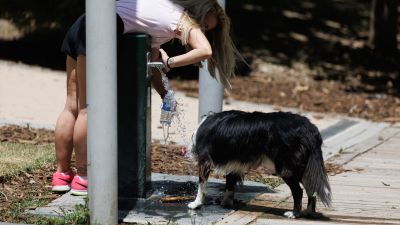Una mujer y un perro cogen agua en una fuente. / Europa Press.