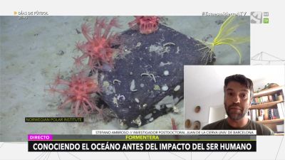 Vida en condiciones extremas