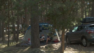 Más de la mitad de los cámpines están ubicados en la provincia de Huesca.
