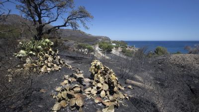 Vista de la zona afectada por el incendio, que en estos momentos sigue activo. (EFE/Marta Pérez)
