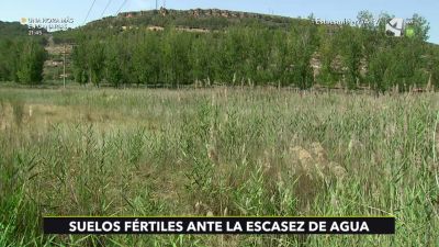 Suelos fértiles ante la escasez de agua