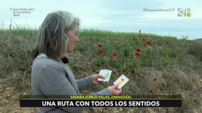 Naturaleza a vista de niño