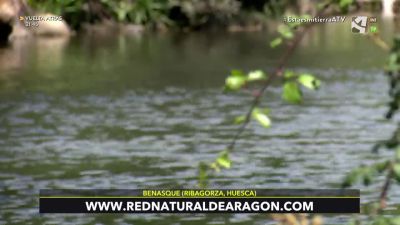 Midiendo la calidad del agua