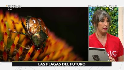 Plagas del futuro