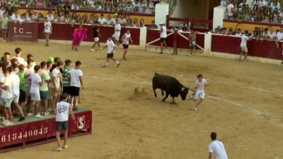 El año pasado se celebraron en la Comunidad cerca de 2.700 festejos taurinos.