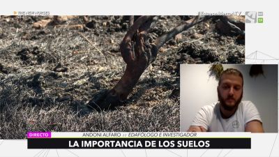 Edafología: el estudio de los suelos