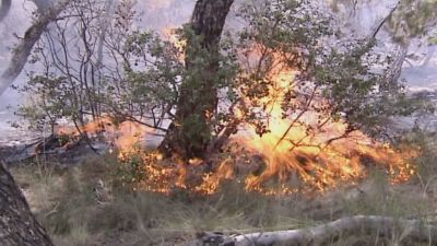 Aragón cuenta con el Plan Territorial de Protección Civil para responder ante los efectos de diversos fenómenos meteorológicos.