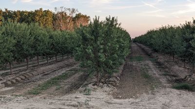La finca agraria donde ha sucedido el accidente laboral mortal en Esplús.