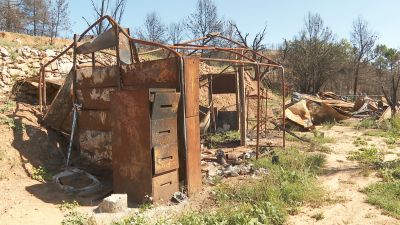 Las huellas del incendio en la provincia de Teruel son visibles seis meses después.