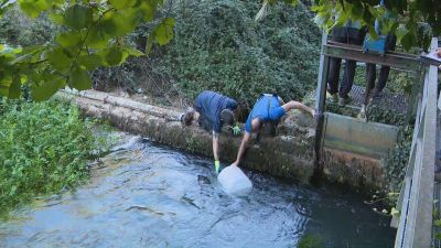 El protozoo Cryptosporidium es el causante del brote de gastroenteritis de Tarazona.