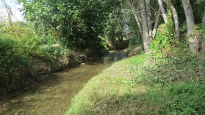 El río Queiles aguas abajo de Tarazona (Zaragoza). / CHE.
