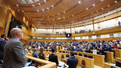 El Senado ha celebrado este martes una sesión plenaria donde se han debatido diferentes iniciativas. / Europa Press