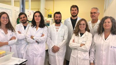 Investigadores de la UZ descubren una terapia eficaz frente a tumores de pulmón, basada en la vacuna viva de la tuberculosis, la BCG. / UZ