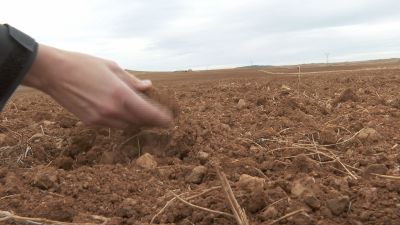 Campos secos pendientes de la lluvia para sembrar el cereal de invierno.