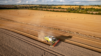 Una cosechadora en un campo de cereal.