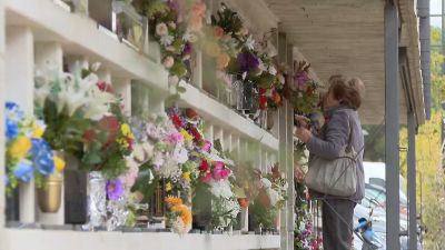 Los nichos se llenan de flores en este 1 de noviembre