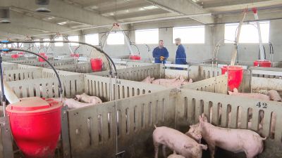 El Comité Técnico Europeo ha propuesto nuevas recomendaciones para las granjas.