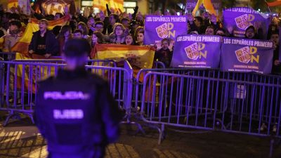 Varias personas muestran banderas de España y carteles del partido extraparlamentario Democracia Nacional, durante una protesta contra la amnistía, frente a la sede del PSOE de Madrid. / Europa Press.