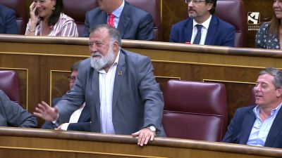 El diputado Herminio Sancho, en el Congreso.