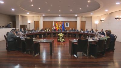 Pleno de la DPH este jueves en el que se ha aprobado las cuentas de la institución para 2024.