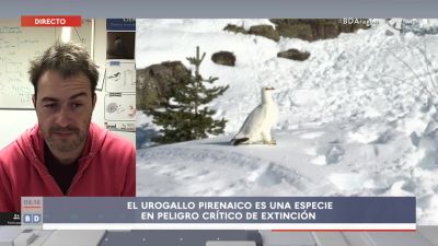 Día Internacional de las montañas
