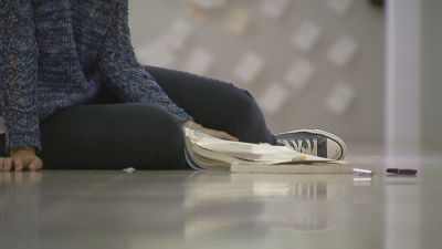 Los casos de ideación suicida y acoso escolar han aumentado en Aragón en lo que llevamos de curso escolar.