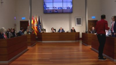 Pleno de la DPZ este viernes.