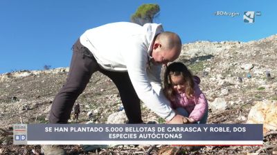 Repoblar tras el incendio