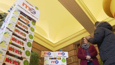 Las uvas de Mercazaragoza que se repartirán en la Plaza del Pilar ya han llegado al Ayuntamiento.