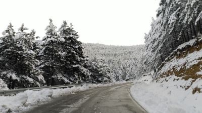 Nieve en el puerto de Sos del Rey Católico. / Gobierno de Aragón