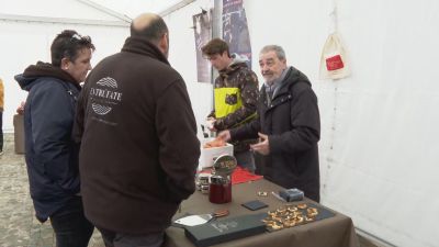 Los visitantes disfrutan de la Feria sobre la Trufa Negra en la Comarca de Daroca.