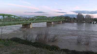 La punta de la crecida del río Ebro pasando por Gallur.