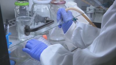 La congelación del tejido ovárico ya se hace en algunos hospitales.