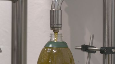 La cosecha de aceite de oliva va a ser mejor de lo esperado y los precios han comenzado a bajar.