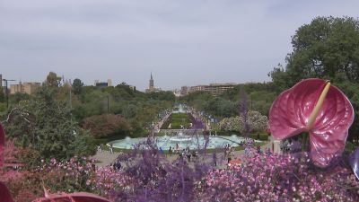 El año pasado, más de 340.000 personas se acercaron a Zaragoza Florece.