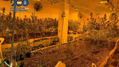 Una de las naves donde cultivaban la marihuana. / Policía Nacional