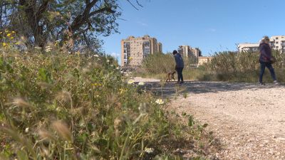 Zona en la que se va a trabajar en Las Fuentes.