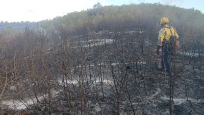 Un bombero trabaja en la zona afectada. / Twitter Bombers de la Generalitat