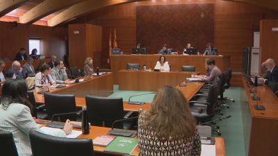 Comisión de Bienestar Social y Familia de las Cortes de Aragón este martes.