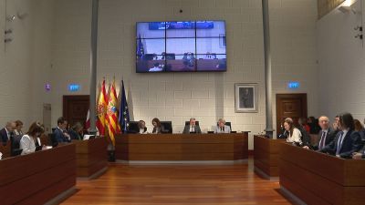 Pleno de la DPZ este miércoles.