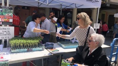 Reparto de plantero en Barbastro.