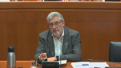 El rector de la Universidad de Zaragoza comparece en las Cortes de Aragón.