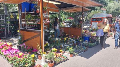 Mercado de las Flores en Zaragoza Florece 2024./ Europa Press