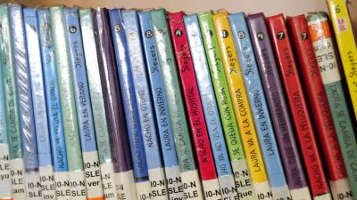 Los planes de fomento de la lectura de tres colegios aragoneses han sido reconocidos por el Ministerio de Educacion. | DGA