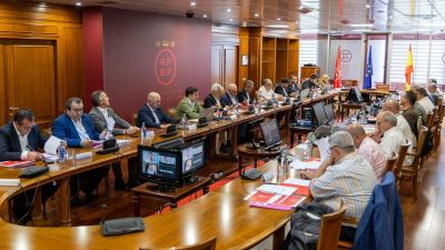 Una imagen de la reunión en la que se ha decidido la distribución de grupos de Primera y Segunda RFEF.
