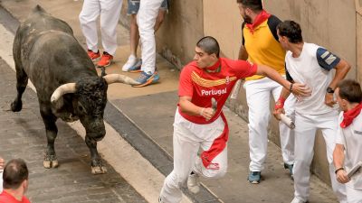 os toros de Miura han protagonizado el último encierro de los Sanfermines de 2024. (EFE/Sergio Martín)